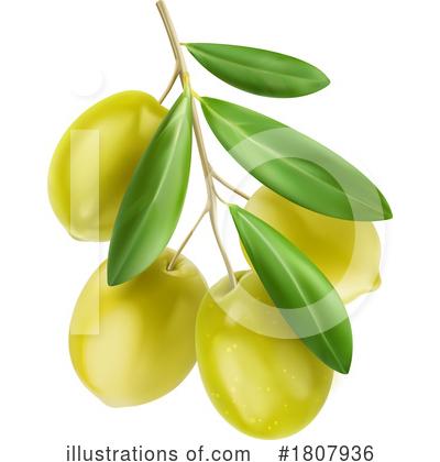 Olive Clipart #1807936 by Vector Tradition SM