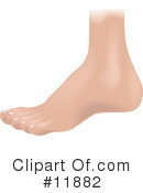 Foot Clipart #11882 by AtStockIllustration