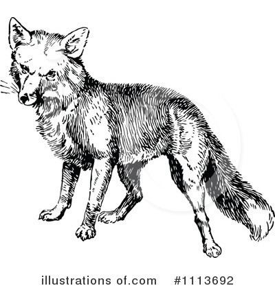 Royalty-Free (RF) Fox Clipart Illustration by Prawny Vintage - Stock Sample #1113692