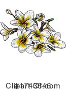 Frangipani Clipart #1743846 by AtStockIllustration