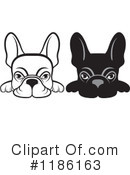 Frenchie Clipart #1186163 by Lal Perera