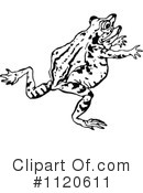 Frog Clipart #1120611 by Prawny Vintage
