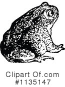 Frog Clipart #1135147 by Prawny Vintage