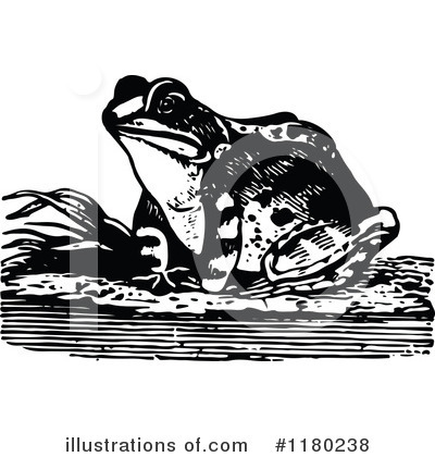 Royalty-Free (RF) Frog Clipart Illustration by Prawny Vintage - Stock Sample #1180238