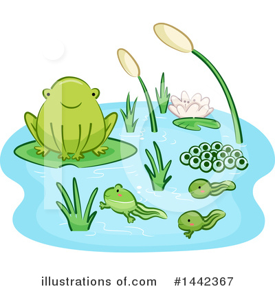 Frogs Clipart #1442367 by BNP Design Studio