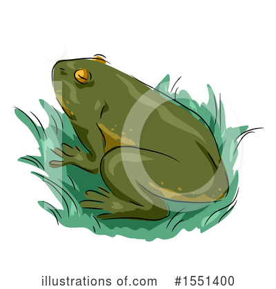 Amphibian Clipart #1551400 by BNP Design Studio