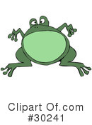 Frog Clipart #30241 by djart
