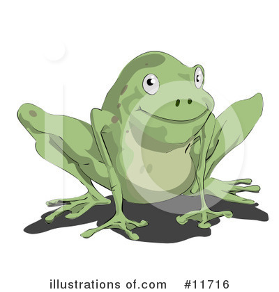 Toad Clipart #11716 by AtStockIllustration