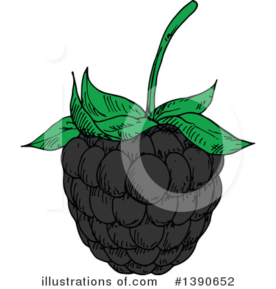 Blackberries Clipart #1390652 by Vector Tradition SM