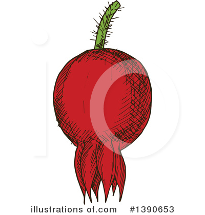 Rose Hip Clipart #1390653 by Vector Tradition SM