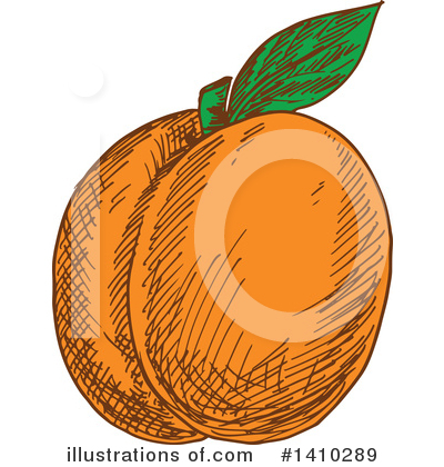 Apricot Clipart #1410289 by Vector Tradition SM