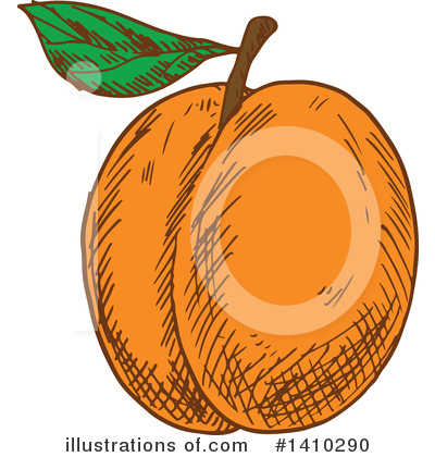 Apricot Clipart #1410290 by Vector Tradition SM