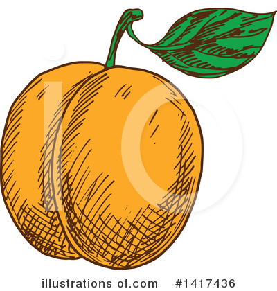 Apricot Clipart #1417436 by Vector Tradition SM