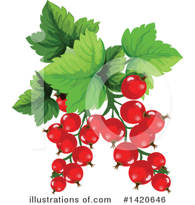 Currants Clipart #1420646 by Vector Tradition SM