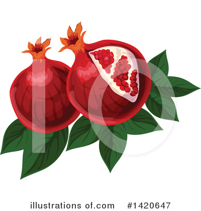 Pomegranate Clipart #1420647 by Vector Tradition SM