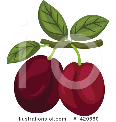 Plum Clipart #1420660 by Vector Tradition SM
