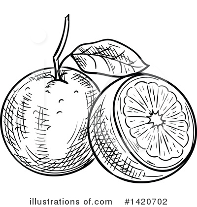Royalty-Free (RF) Fruit Clipart Illustration by Vector Tradition SM - Stock Sample #1420702