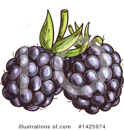 Blackberry Clipart #1425974 by Vector Tradition SM