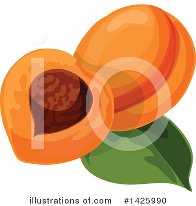 Apricot Clipart #1425990 by Vector Tradition SM
