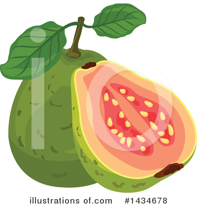 Guava Clipart #1434678 by Vector Tradition SM