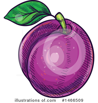 Plum Clipart #1466509 by Vector Tradition SM