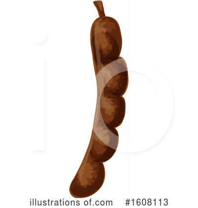 Tamarind Clipart #1608113 by Vector Tradition SM