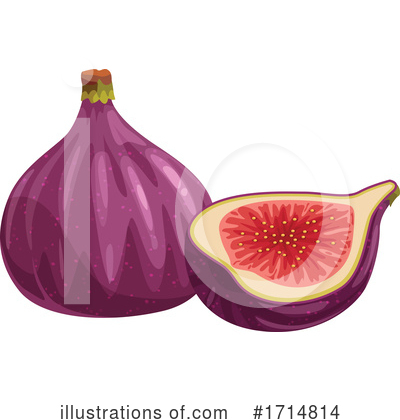 Fig Clipart #1714814 by Vector Tradition SM