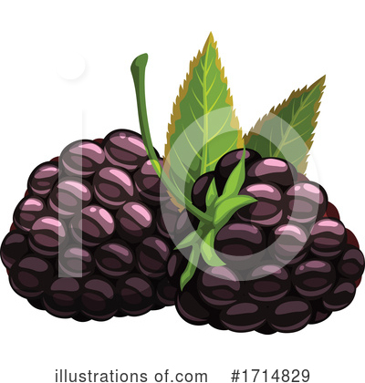 Blackberry Clipart #1714829 by Vector Tradition SM