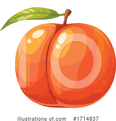 Nectarine Clipart #1714837 by Vector Tradition SM