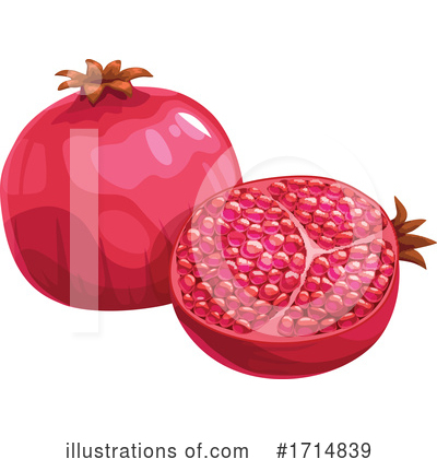 Pomegranate Clipart #1714839 by Vector Tradition SM