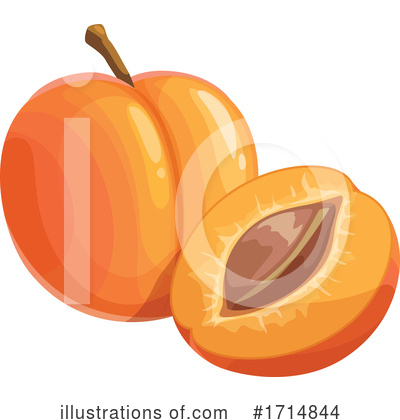 Peach Clipart #1714844 by Vector Tradition SM