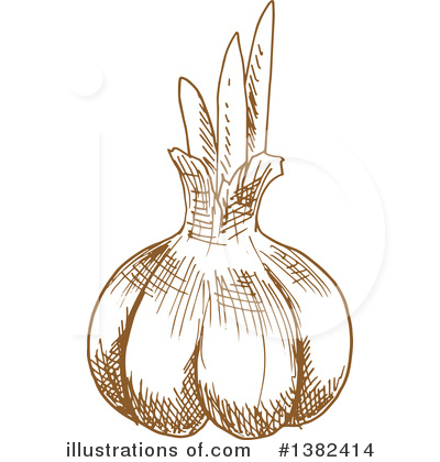 Royalty-Free (RF) Garlic Clipart Illustration by Vector Tradition SM - Stock Sample #1382414