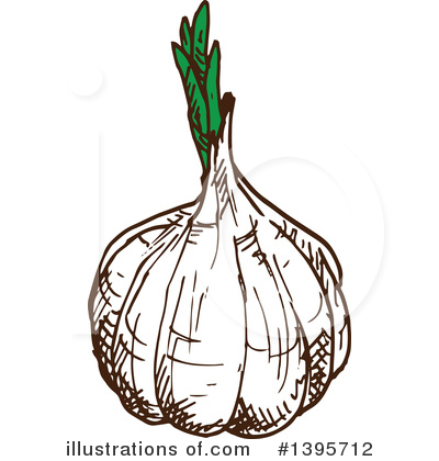 Royalty-Free (RF) Garlic Clipart Illustration by Vector Tradition SM - Stock Sample #1395712