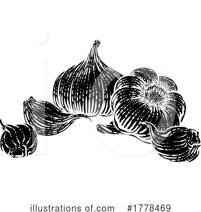 Garlic Clipart #1778469 by AtStockIllustration