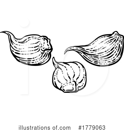 Garlic Clipart #1779063 by AtStockIllustration