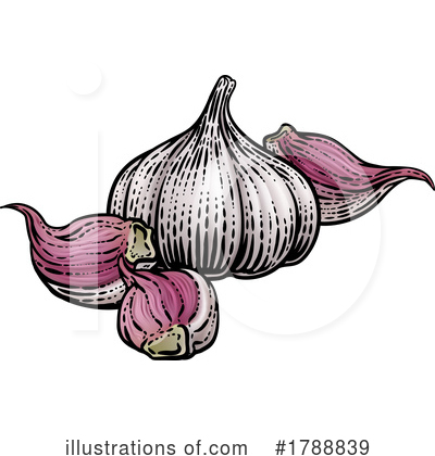 Garlic Clipart #1788839 by AtStockIllustration