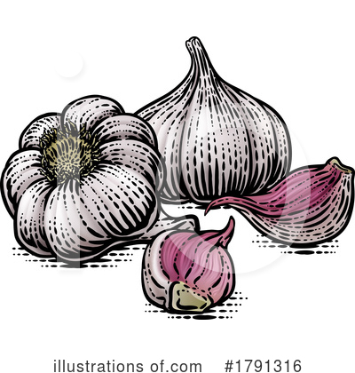 Garlic Clipart #1791316 by AtStockIllustration