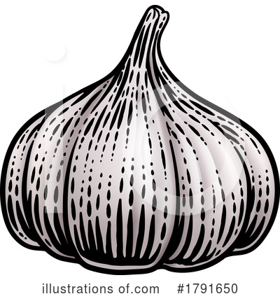 Garlic Clipart #1791650 by AtStockIllustration
