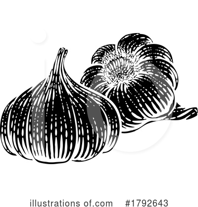 Garlic Clipart #1792643 by AtStockIllustration