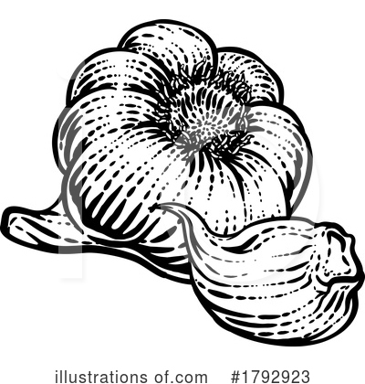 Garlic Clipart #1792923 by AtStockIllustration