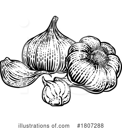 Royalty-Free (RF) Garlic Clipart Illustration by AtStockIllustration - Stock Sample #1807288