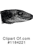 Gecko Clipart #1184221 by Prawny Vintage