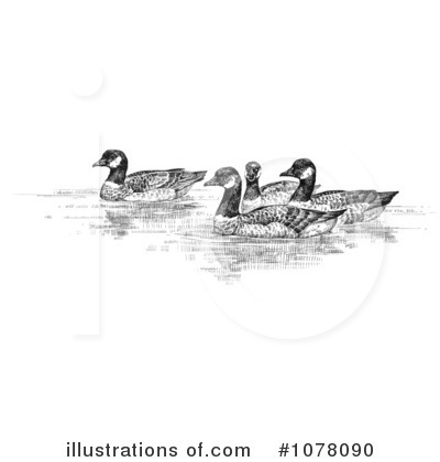 Royalty-Free (RF) Geese Clipart Illustration by JVPD - Stock Sample #1078090