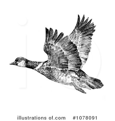 Geese Clipart #1078091 by JVPD