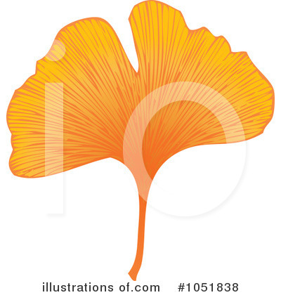 Royalty-Free (RF) Ginkgo Clipart Illustration by Eugene - Stock Sample #1051838