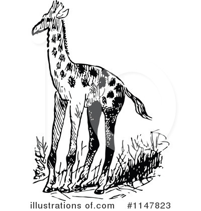 Royalty-Free (RF) Giraffe Clipart Illustration by Prawny Vintage - Stock Sample #1147823
