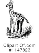 Giraffe Clipart #1147823 by Prawny Vintage