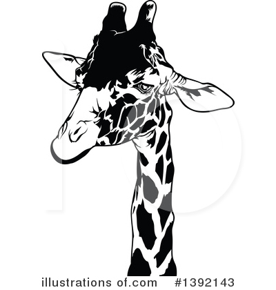 Giraffe Clipart #1392143 by dero