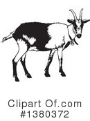 Goat Clipart #1380372 by dero