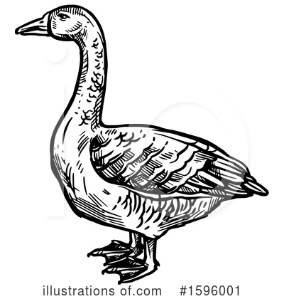 Royalty-Free (RF) Goose Clipart Illustration by Vector Tradition SM - Stock Sample #1596001